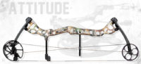 BEAR Attitude 60# R/H